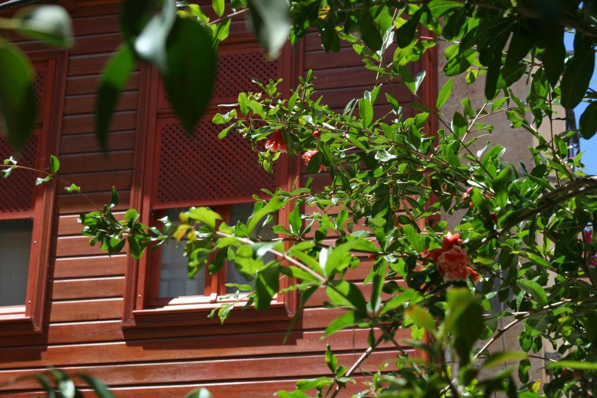 Ionas Boutique Hotel 하니아 외부 사진